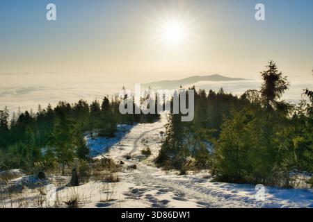 Vista aerea di un sentiero innevato che si snoda attraverso una foresta, con il sole che getta un bagliore dorato sulle montagne lontane, Spisska nova VES, Kosicky kraj, Foto Stock