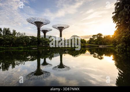 Supertree Grove a Gardens by the Bay, Singapore, con lago all'alba e serre sullo sfondo Foto Stock