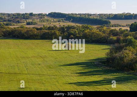 Una vista pittoresca e mozzafiato di un vivace campo verde caratterizzato da un albero solitario su un bellissimo e sereno paesaggio Foto Stock