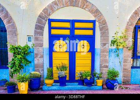 Porta tradizionale marocchina colorata blu e gialla con piante in vaso a Essaouira Foto Stock