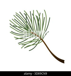 Piante invernali dipinte a mano. Illustrazioni delle filiali Evergreen per design, stampa, sfondi e biglietti d'auguri. Illustrazione Vettoriale