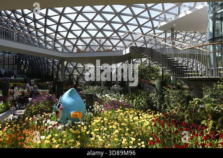 RAYONG, THAILANDIA 29 novembre 2025 - Vista suggestiva del miracolo della natura, la più grande fattoria di fiori invernali della Thailandia, situata nella SALA ESPOSITIVA DELLA FLORA presso il PTTLNG Plant Exhibition Building, Mappa Ta Phut, Mueang Rayong, Provincia di Rayong. (Foto di Teera Noisakran/Sipa USA) credito: SIPA USA/Alamy Live News Foto Stock