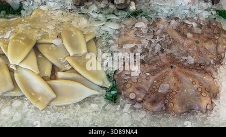 I tubi di calamaro e il polpo intero sono esposti fianco a fianco sul ghiaccio presso un banco di pesce ghiacciato. Foto Stock