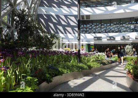 RAYONG, THAILANDIA 29 novembre 2025 - Vista suggestiva del miracolo della natura, la più grande fattoria di fiori invernali della Thailandia, situata nella SALA ESPOSITIVA DELLA FLORA presso il PTTLNG Plant Exhibition Building, Mappa Ta Phut, Mueang Rayong, Provincia di Rayong. (Foto di Teera Noisakran/Sipa USA) credito: SIPA USA/Alamy Live News Foto Stock