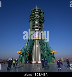 Baikonur, Kazakistan. 24 novembre 2025. Il razzo russo Soyuz MS-28 in posizione verticale con i bracci del gantry chiusi dopo il lancio sulla rampa di lancio 31 presso il cosmodromo di Baikonur, il 24 novembre 2025, a Baikonur, Kazakistan. Il lancio della navicella spaziale è previsto per il 27 novembre con 74 membri dell'equipaggio: L'astronauta della NASA Chris Williams, i cosmonauti Roscosmos Sergey Kud-Sverchkov e Sergei Mikaev alla stazione spaziale Internazionale. Crediti: Bill Ingalls/NASA/Alamy Live News Foto Stock