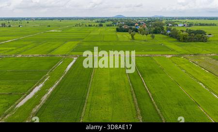 Veduta aerea di un campo e ville a Kampot, Cambogia Foto Stock