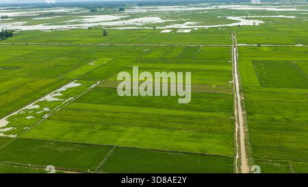 Veduta aerea di un campo e ville a Kampot, Cambogia Foto Stock
