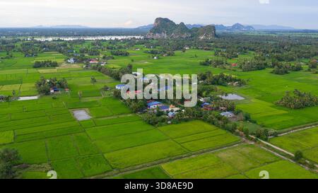 Veduta aerea di un campo e ville a Kampot, Cambogia Foto Stock