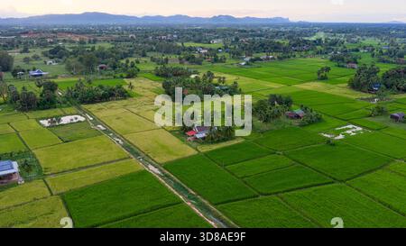 Veduta aerea di un campo e ville a Kampot, Cambogia Foto Stock