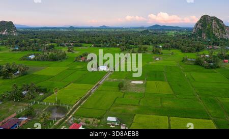 Veduta aerea di un campo e ville a Kampot, Cambogia Foto Stock