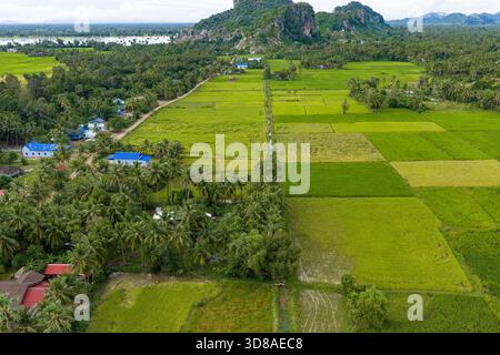 Veduta aerea di un campo e ville a Kampot, Cambogia Foto Stock