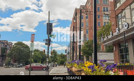 Washington D.C., USA, 24 maggio 2025. I fiori fiancheggiano il marciapiede vicino al ristorante Alero su U Street NW, circondato da edifici in mattoni rossi e cartelli stradali Foto Stock