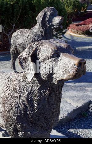 Statue in bronzo di cani del Labrador e di Terranova, St Johns, Terranova Foto Stock