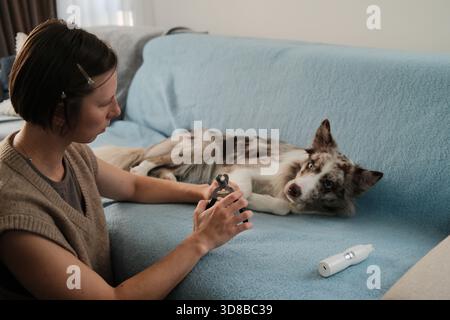 Una donna prepara i tagliaunghie mentre un collie di bordo si trova tranquillamente sul divano. Il momento mette in risalto la cura e la cura degli animali domestici a casa. Foto Stock