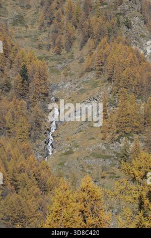 Una piccola cascata scende lungo una collina rocciosa circondata da alberi autunnali, in Italia Foto Stock