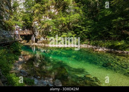 Acqua trasparente del fiume di montagna Radovna che scorre attraverso la Gola di Vintgar nel Parco Nazionale del Triglav in Slovenia. Foto Stock