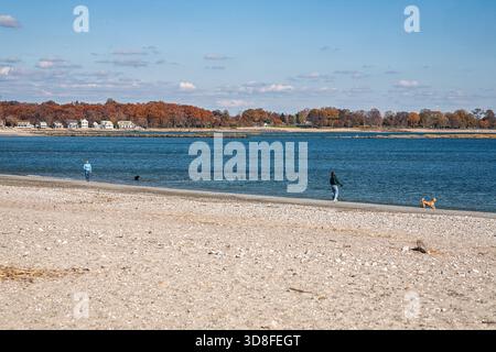Goditi una soleggiata giornata autunnale a Compo Beach, dove l'acqua blu incontra una spiaggia sabbiosa e le persone passeggiano sotto un cielo limpido. Foto Stock
