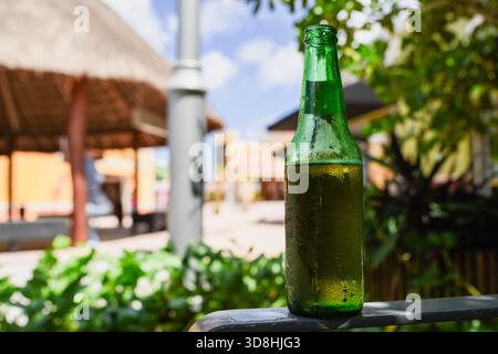 Una bottiglia verde di birra è seduta su una ringhiera. Il flacone è pieno a metà e presenta condensa all'esterno con spazio di copia Foto Stock