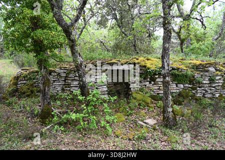 Ingresso al Dry Stone Hut, Stone Cabanon o Gallic Hut nella foresta vicino a Bonnieux Luberon Provence Francia Foto Stock