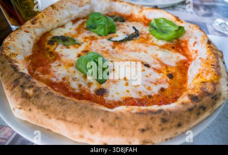 Una pizza napoletana appena sfornata con una crosta spessa, condita con mozzarella, foglie di basilico e salsa di pomodoro. Foto Stock