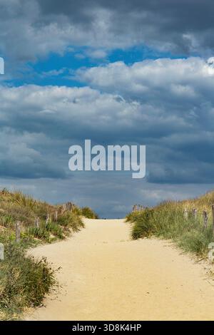 Francia, ile de Noirùoutier, Barbatre, accesso alla spiaggia dalle dune. Foto Stock