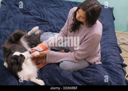 La donna asciuga il collie di confine dopo la passeggiata, avvolgendo il cane in un asciugamano luminoso, momento di cura delicato, routine per animali domestici e persone, adatto per la cura degli animali, la cura del corpo, fare Foto Stock