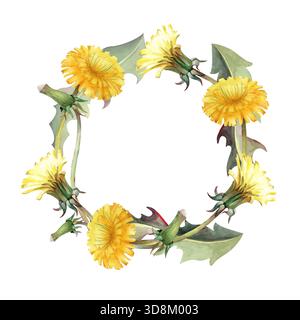Una cornice rotonda di leoni gialli su uno sfondo isolato. Acquerello illustrazione di una corona di fiori selvatici realistici. Modello vintage floreale Foto Stock