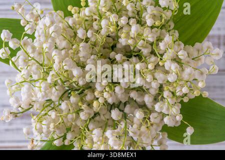 Bouquet di giglio di fiori della valle, primo piano, vista dall'alto Foto Stock