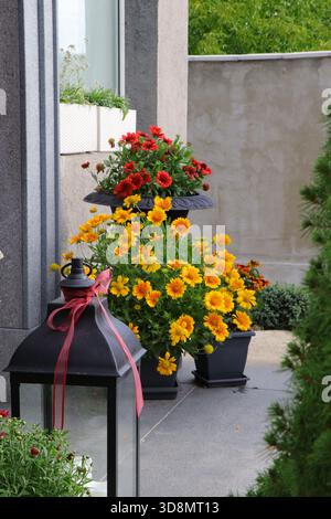 Giallo brillante Gaillardia e fiori di Rudbeckia arancio-rosso disposti in vasi decorativi da un ingresso di casa in legno. Piante colorate che creano un Foto Stock
