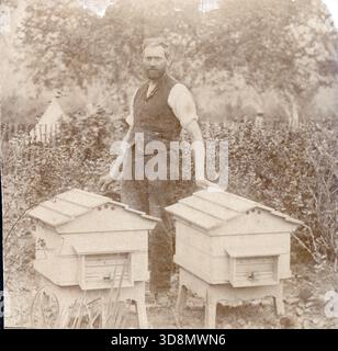 Seppia ritratto all'aperto di un uomo in gilet e maniche arrotolate in piedi tra due alveari a tetto spiovente. L'ambiente del giardino con fogliame, recinzione e struttura simile a una tenda suggerisce la pratica dell'apicoltura tardo vittoriana o edoardiana e la documentazione rurale. Da un album fotografico del tardo vittoriano a quello del primo edoardiano, che presentava molte carte di albume e carte de visites, fornendo una finestra sugli stili e le mode dell'epoca. Foto Stock