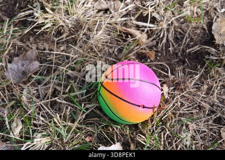Allegra basket al neon con strisce arcobaleno stese su erba secca tra foglie marroni cadute Foto Stock