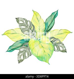 Composizione di foglie tropicali ad acquerello con toni verdi e gialli luminosi. Illustrazione botanica artistica con fogliame rotondo e dettagli delicati Foto Stock