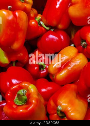 Peperoni dolci. Paprika ai peperoni colorati, sfondo naturale. Sana e corretta alimentazione, dieta. Verdure fresche. Full frame. Foto Stock