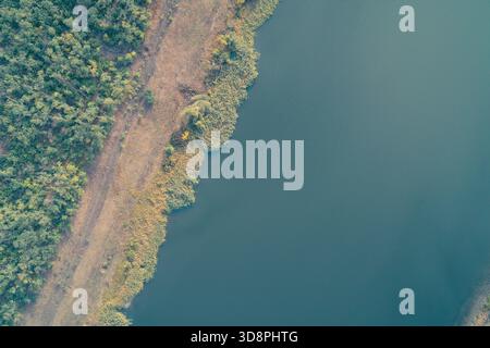 Scatto astratto di un drone che cattura il confine sereno tra una fitta foresta verde e un corpo d'acqua blu scuro. Un percorso sterrato e le canne gialle definiscono il litorale, creando un contrasto naturale e testurizzato. Foto Stock
