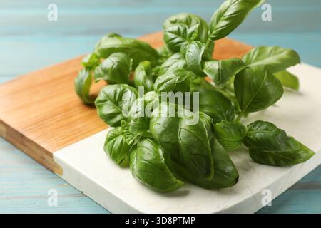 Foglie di basilico fresco su un tavolo di legno azzurro, primo piano Foto Stock