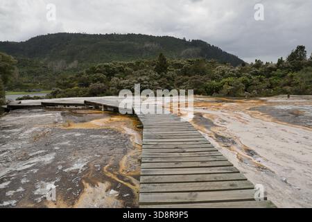 Parco geotermico di Taupo della nuova Zelanda, minerale curvo del Boardwalk in legno Foto Stock