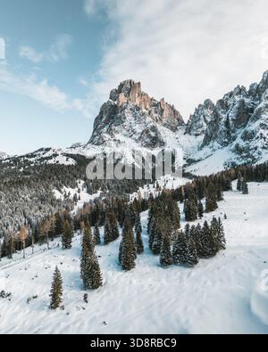 Veduta aerea dei pini innevati che penetrano nella distesa bianca e frizzante, ombreggiata dalla torreggiante e aspra vetta del monte Langkofel, Alpe di Siusi, Trentino Foto Stock