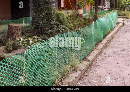 Primo piano di una recinzione a maglia verde ondulata che racchiude un'area piantata con felci, edera e ceppi di alberi accanto a un percorso sterrato. Foto Stock