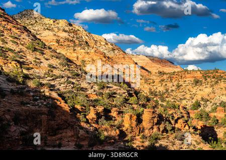 Le scogliere di arenaria rossa si innalzano verso il cielo blu nel Parco Nazionale di Zion, Utah, Stati Uniti. Le formazioni geologiche dell'arenaria Navajo presentano strutture rocciose a strati e vegetazione verde nelle giornate di sole Foto Stock