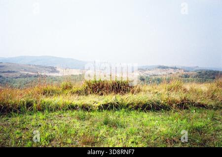 Vista notturna di una fabbrica di cemento a cielo aperto con erba alta in primo piano, catturata in analogico da 35 mm per un look industriale vintage e testurizzato. Foto Stock