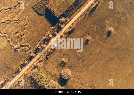 Una fotografia con droni dall'alto verso il basso che cattura il netto contrasto tra una fitta foresta con un colorato fogliame autunnale in tonalità di verde, giallo e arancione e un grande marrone, terreno agricolo arato. Foto Stock