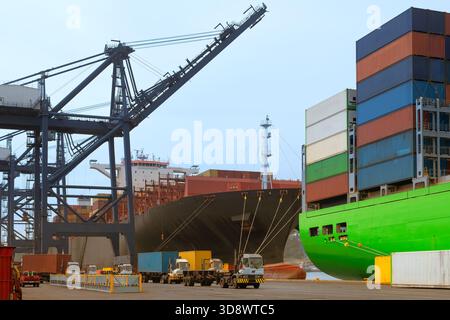 L'immensa scala del terminal container di San Antonio, dove potenti gru a cavalletto caricano e scaricano container dalle navi da carico. Foto Stock