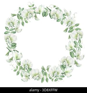 Cornice rotonda e lussureggiante di fiori, foglie e germogli di piselli da giardino. Illustrazione ad acquerello disegnata a mano isolata su sfondo bianco. Perfetto Foto Stock