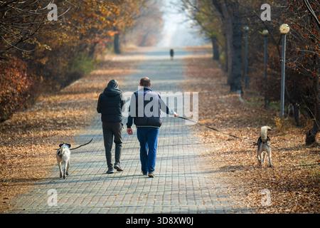 Erevan Armenia 10.25.2025. Un uomo e una donna stanno camminando i loro cani lungo un sentiero. I cani sono al guinzaglio e stanno seguendo i loro proprietari. La scena lo è Foto Stock