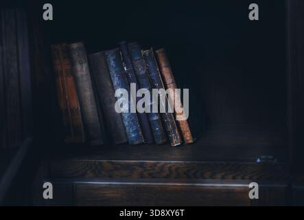 Una collezione di libri vintage con copertine in pelle si trova ordinatamente su uno scaffale in legno, evocando storia, conoscenza, cultura e fascino classico degli interni. Foto Stock