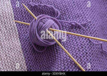 Maglia viola da primo piano con palle di lana e aghi, Renania settentrionale-Vestfalia, Germania Foto Stock