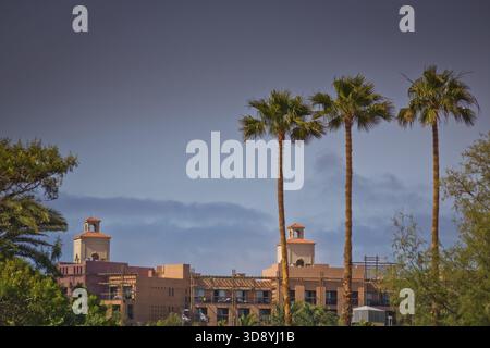 Tre alte palme di crescere nella città di Maspalomas in Gran Canaria Foto Stock