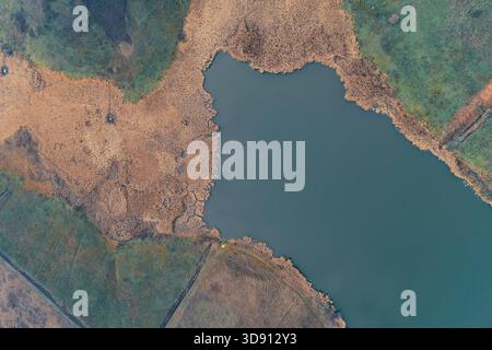 Scatto con droni che cattura il forte contrasto tra acqua scura e calma e densa canne autunnali. Il bellissimo ma vulnerabile paesaggio naturale si trova all'interno di una zona di conflitto militare a bassa intensità. Foto Stock