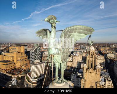 LIVERPOOL, MERSEYSIDE, INGHILTERRA - 21 NOVEMBRE 2025: Primo piano dell'iconico Copper Liver Bird, The Royal Liver Building, Liverpool, Inghilterra Foto Stock
