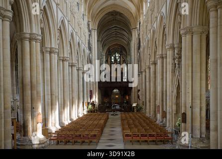 Beverley Minster, East Yorkshire, è una delle chiese gotiche più belle d'Europa e un capolavoro di architettura medievale. Iniziata intorno al 1120 come chiesa collegiata agostiniana in sostituzione di un precedente monastero anglosassone fondato da San Giovanni di Beverley, fu in gran parte ricostruita 1220–1420 in radioso stile inglese primitivo, decorato e perpendicolare. Famosa per le sue torri occidentali gemelle, le squisite incisioni in pietra del XIV secolo (compresi angeli musicali e menestrelli), l'imponente navata e l'unica gru a ruota del XVI secolo ancora in situ, rivaleggia con molte cattedrali in scala e bellezza. Un luogo di pellegrinaggio Foto Stock